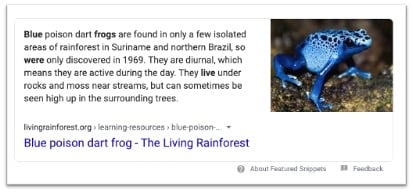 Blue-frog-featured-snippet-SERP