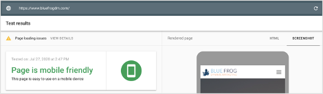 Google Mobile-Friendly Test Results
