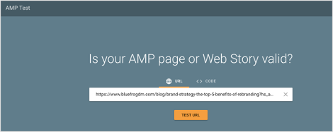 Google AMP Test Tool