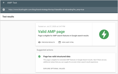 Google AMP Test Tool Results
