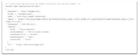 blue-frog-local-business-markup-example