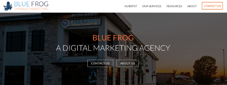 blue-frog-marketing-homepage