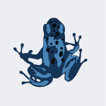 image of blog Blue Frog Team